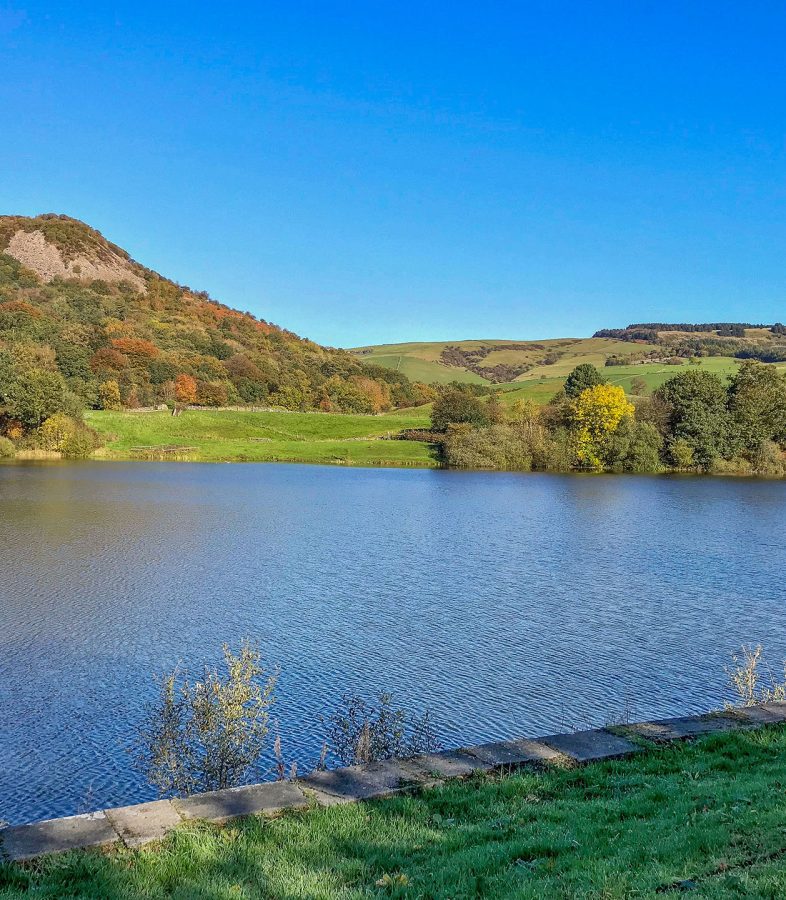 adamley-textiles-reservoir-web reservoir